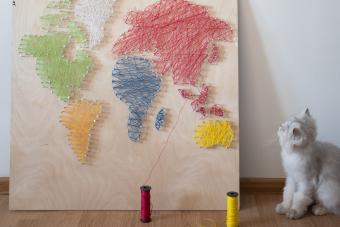 World map made of string/yarn. A grey cat is sitting next to the map.